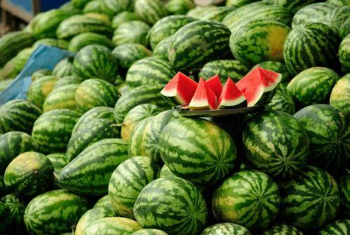 快乐吃瓜军网红康欣,快乐吃瓜军领军人物，揭秘娱乐圈幕后故事