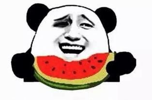 吃瓜群众看网红